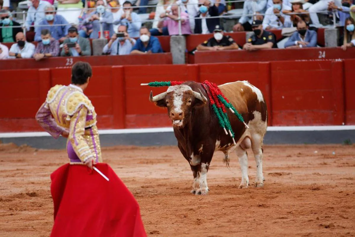 Gandillito, de la ganadería Galache, frente a Alejandro Marcos