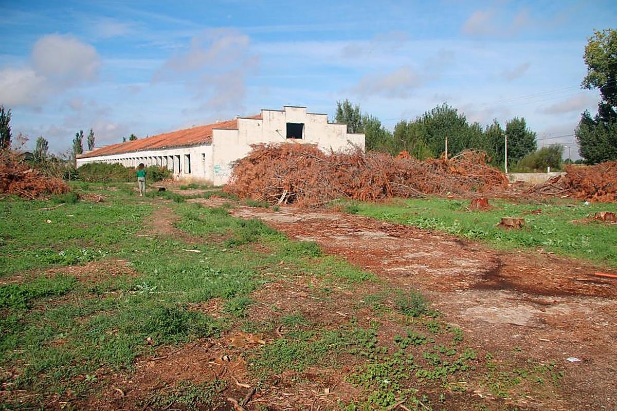Una de las construcciones de la antigua granja de gallinas en Villamayor.