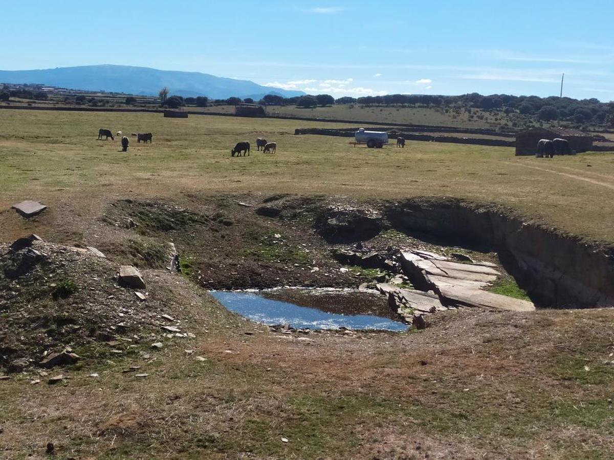 Charca en la zona de Campillo de Salvatierra casi seca. La finca, con ganado, ya tiene cisterna.