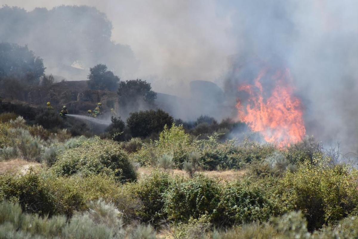 Una imagen del incendio forestal de San Felices de los Gallegos