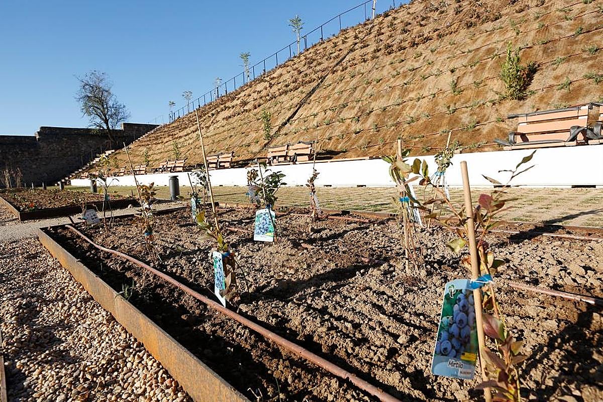 El área dedicada a los frutales, donde se pueden encontrar perales, manzanos, membrillos y cerezos.