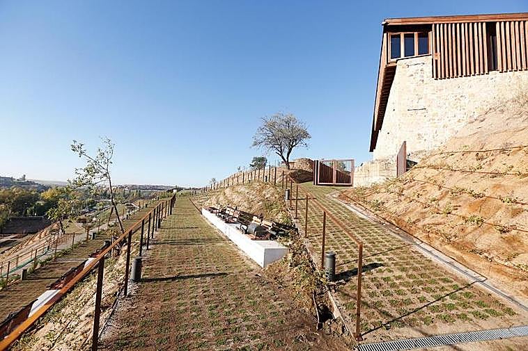 Senderos en zigzag que permiten ascender desde La Vaguada de la Palma hasta la zona alta del Cerro, donde se encuentran los restos de las cabañas de la Edad de Hierro.
