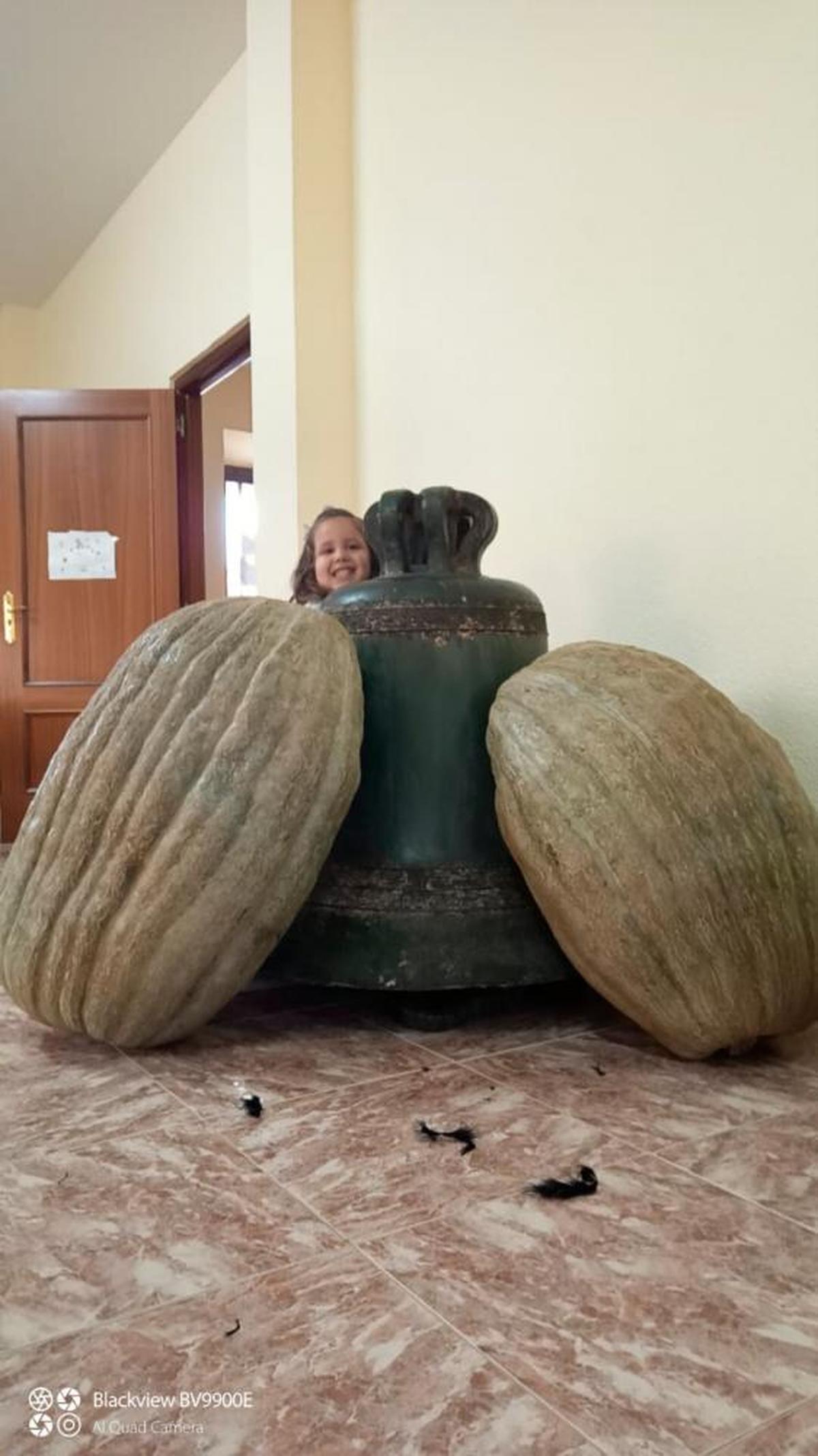 Dos de las calabazas gigantes, apoyadas en una campana del campanario del pueblo.