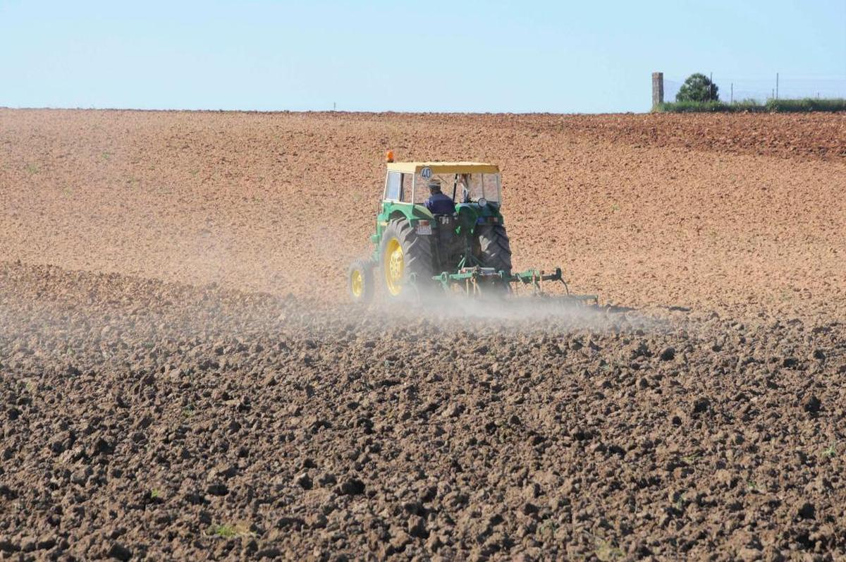 Las organizaciones denuncian el fuerte incremento de los costes de producción.