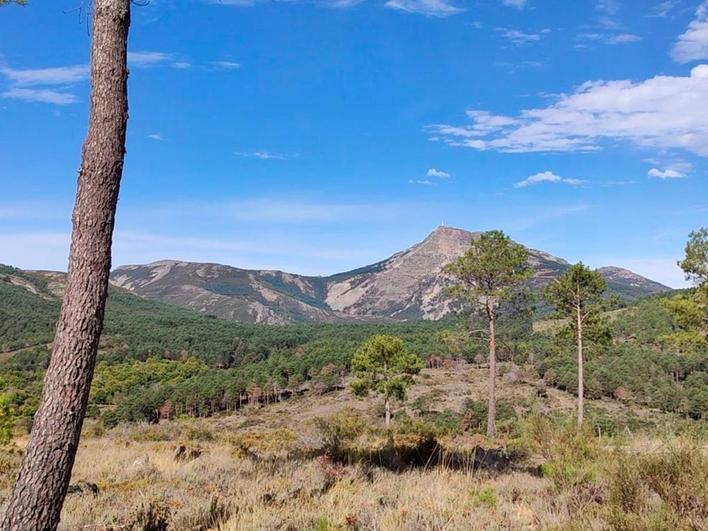 Ruta del Bosque, en La Alberca.