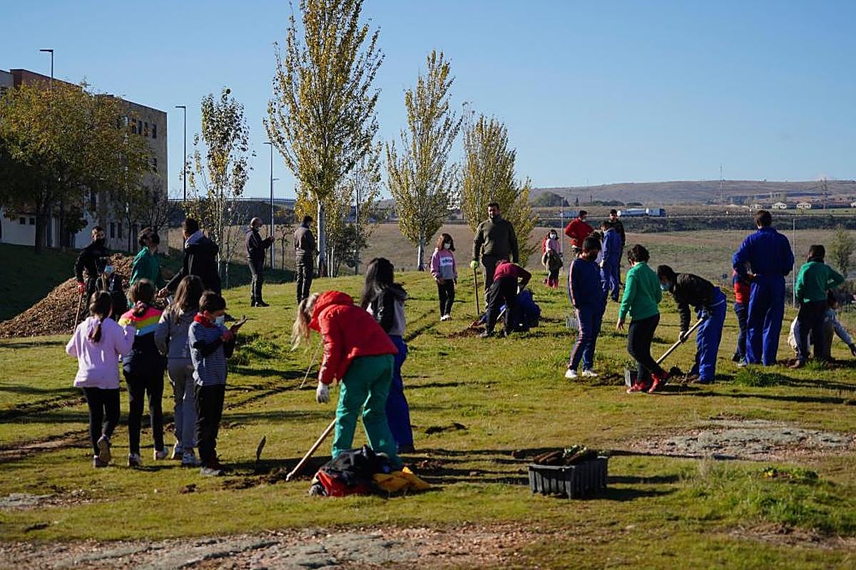 Alumnos del colegio Calasanz y del centro de FP Lorenzo Milani, durante la actividad de reforestación.
