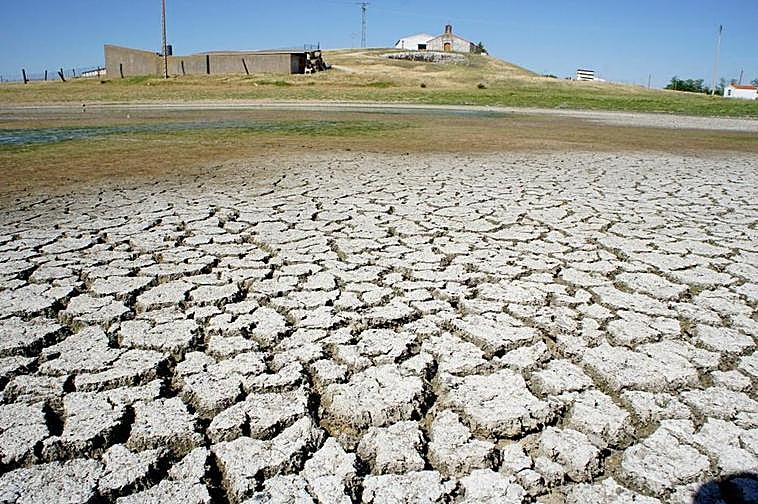 Aspecto que presentaba una charca de Carbajosa de Armuña durante una sequía en el verano de 2012.