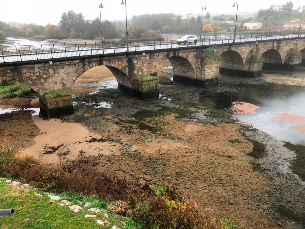 Así bajaba el Tormes a su paso por Alba