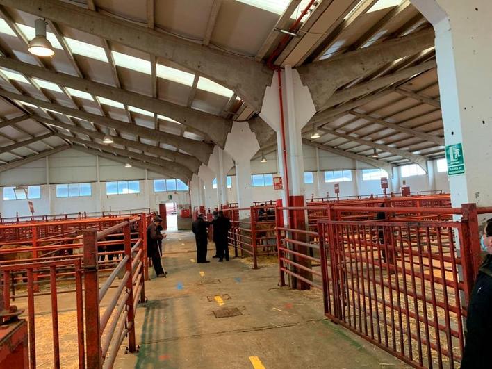 El lunes solo había ganado en los corrales del fondo de la nave principal, junto a la nave exterior.