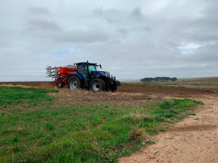 La CE quiere incrementar la captación de carbono en los suelos agrícolas.