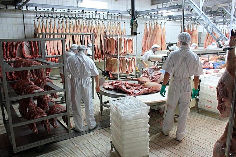 Trabajadores de la industria chacinera, durante su jornada en una empresa de Guijuelo.