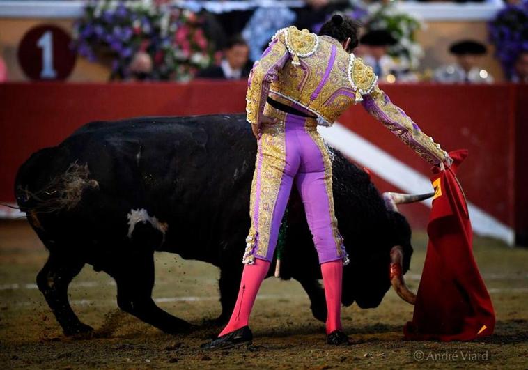 Alejandro Marcos en Bayona, con el toro Joyito de José Enrique Fraile de Valdefresno