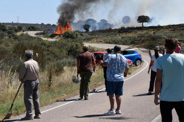 Levantan la suspensión para el aprovechamiento ganadero de pastos afectados por el incendio de San Felices de los Gallegos