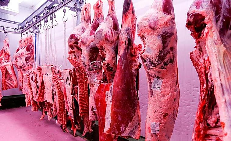 Cámara frigorífica con carne