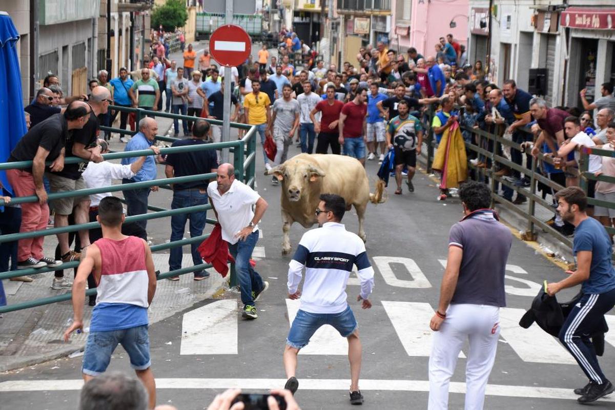 Celebración de las fiestas del Corpus en la localidad de Vitigudino