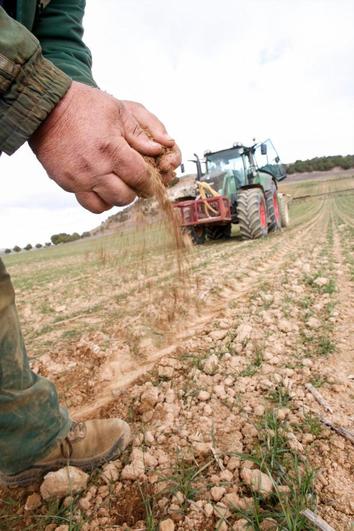 En el campo preocupan la falta de agua y las altas temperaturas.