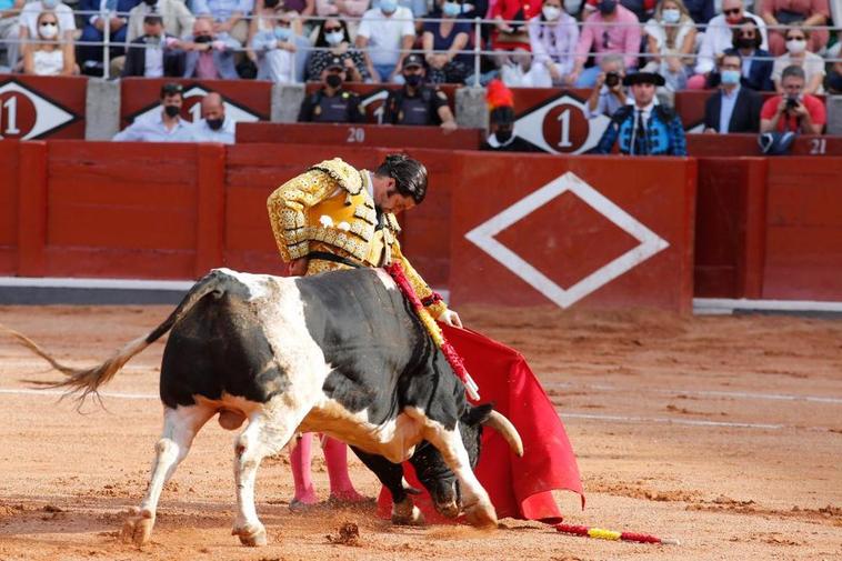 Natural de Morante de la Puebla al toro Gandeón, el número 19 de Francisco Galache, que lidió en La Glorieta el pasado 12 de septiembre.