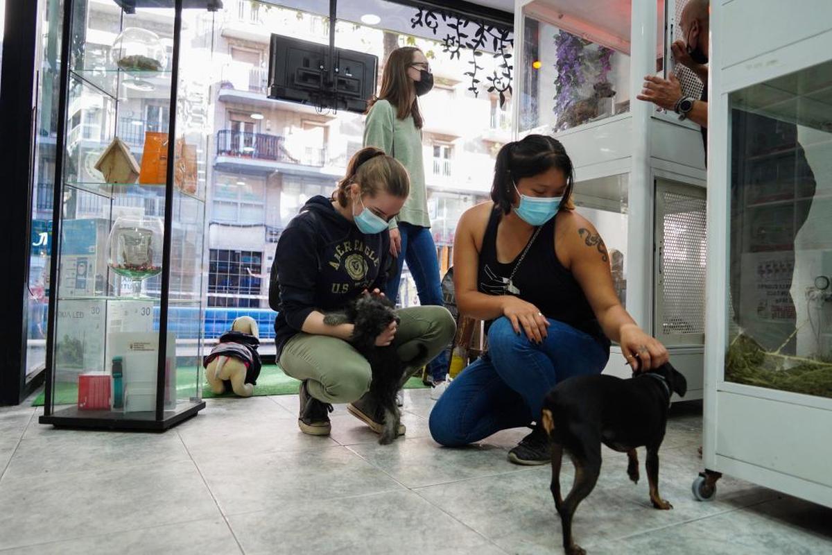 Dos jóvenes acarician a sendos perros en una tienda de mascotas de Salamanca.