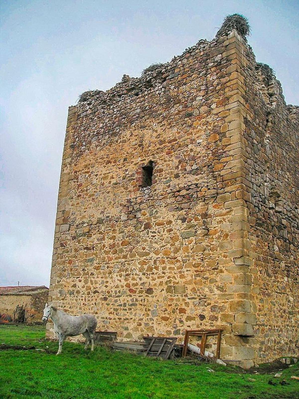 Estado de ruina y abandono del Torreón del Castillo de Tamames