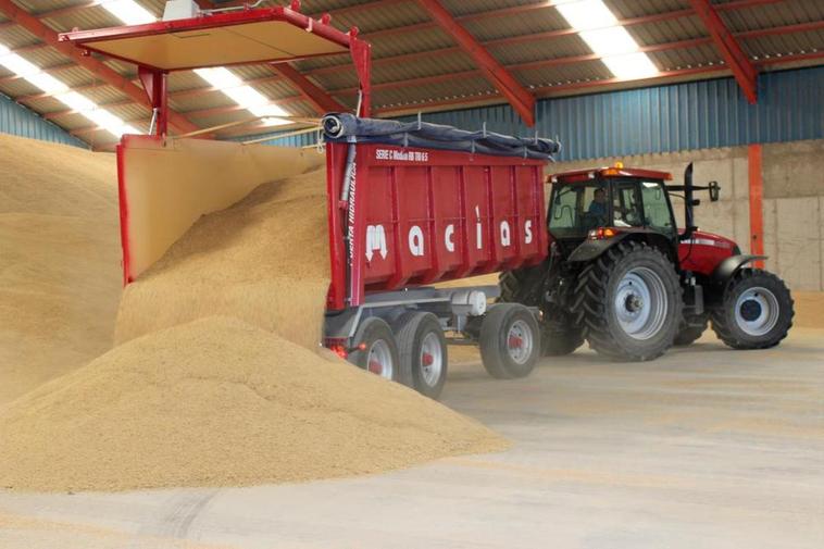 Grano almacenado en una nave de la provincia.