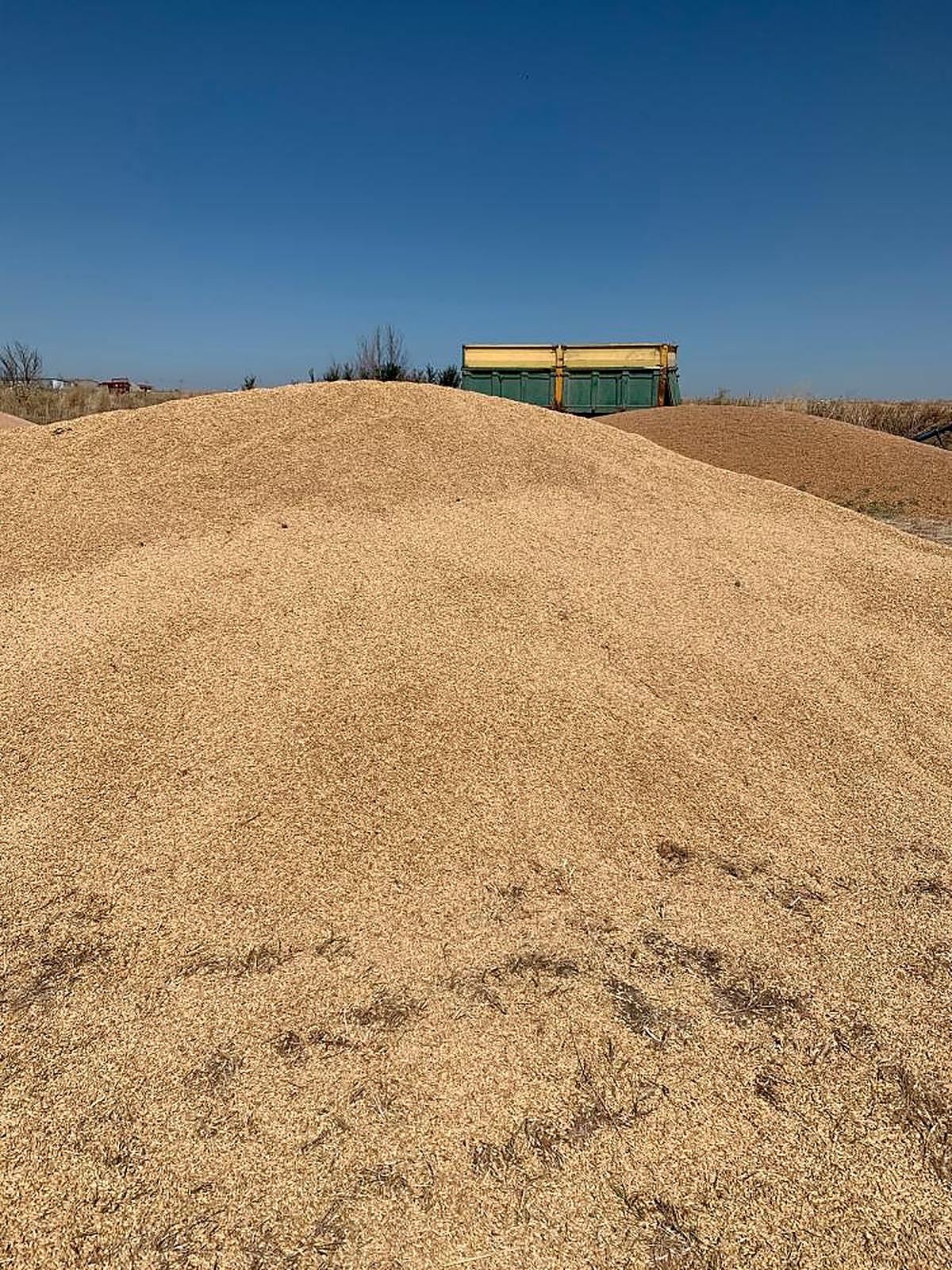 Cereal recogido y almacenado en Salamanca