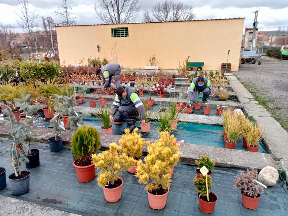 Trabajadores de jardinería de un Centro Especial de Empleo de Asprodes