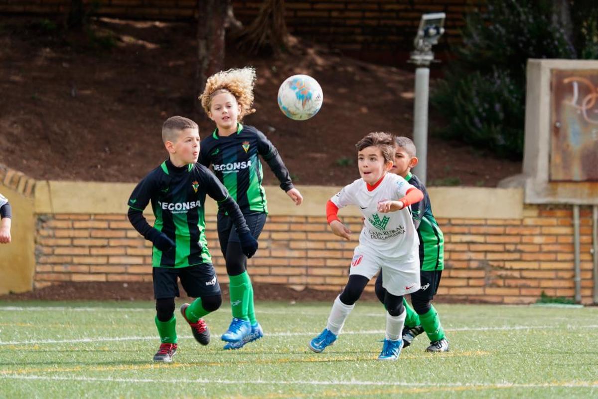 Las mejores imágenes de la decimonovena jornada del fútbol base de Salamanca