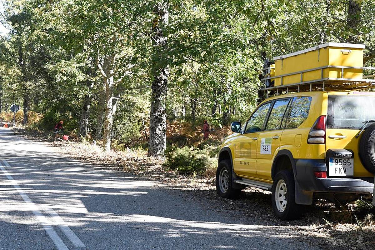 Tratamientos silvícolas de prevención en la Sierra de Francia.