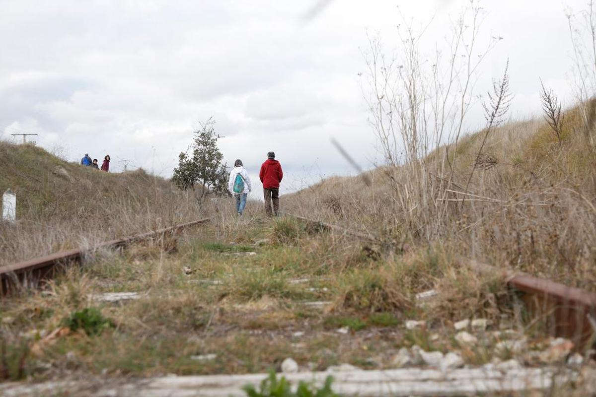 La vegetación ha invadido la vía de la línea 124 Salamanca-Vanduciel a su paso por la capital del Tormes