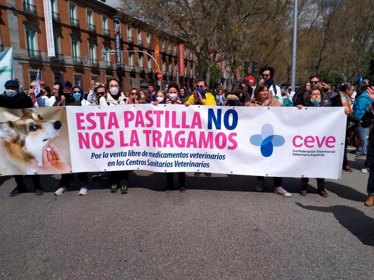 Manifestación de los veterinarios en Madrid.