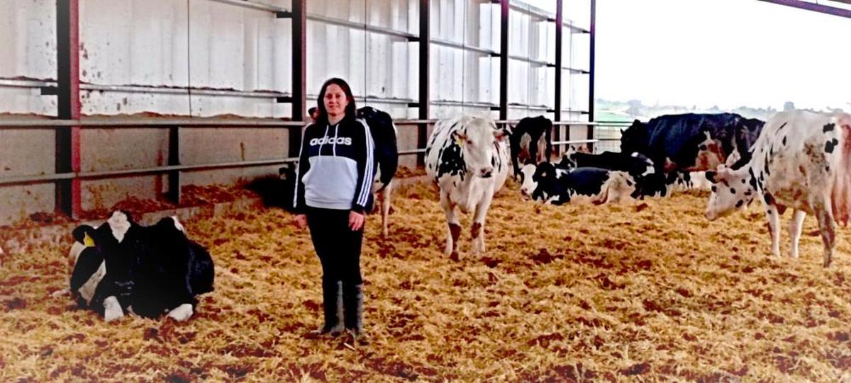 Marta Mayor, con sus vacas en su explotación de Santiz.