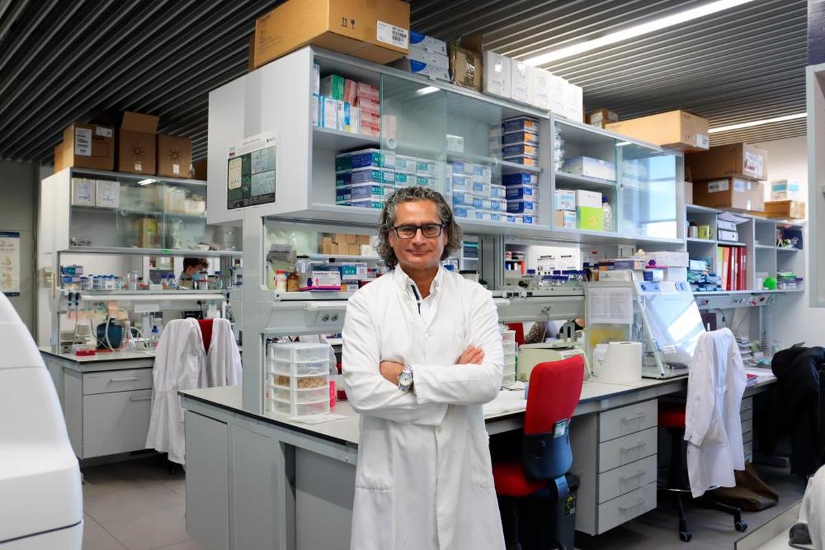 Juan Pedro Bolaños, en su laboratorio del IBFG