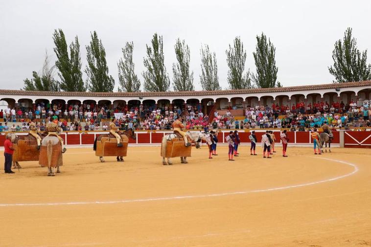 Panorámica en un paseíllo en la plaza de toros de La Florida de Peñaranda de Bracamonte.