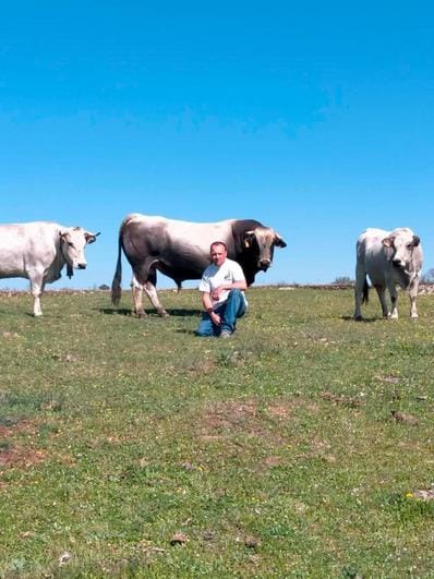 Cristian Lanchas posa con el toro y parte de sus vacas gasconas.