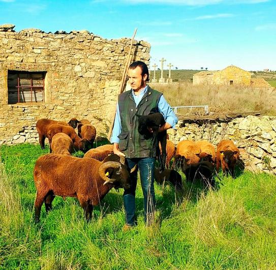 Manuel Herrero, con su pequeño pero exclusivo rebaño de raza merina negra.