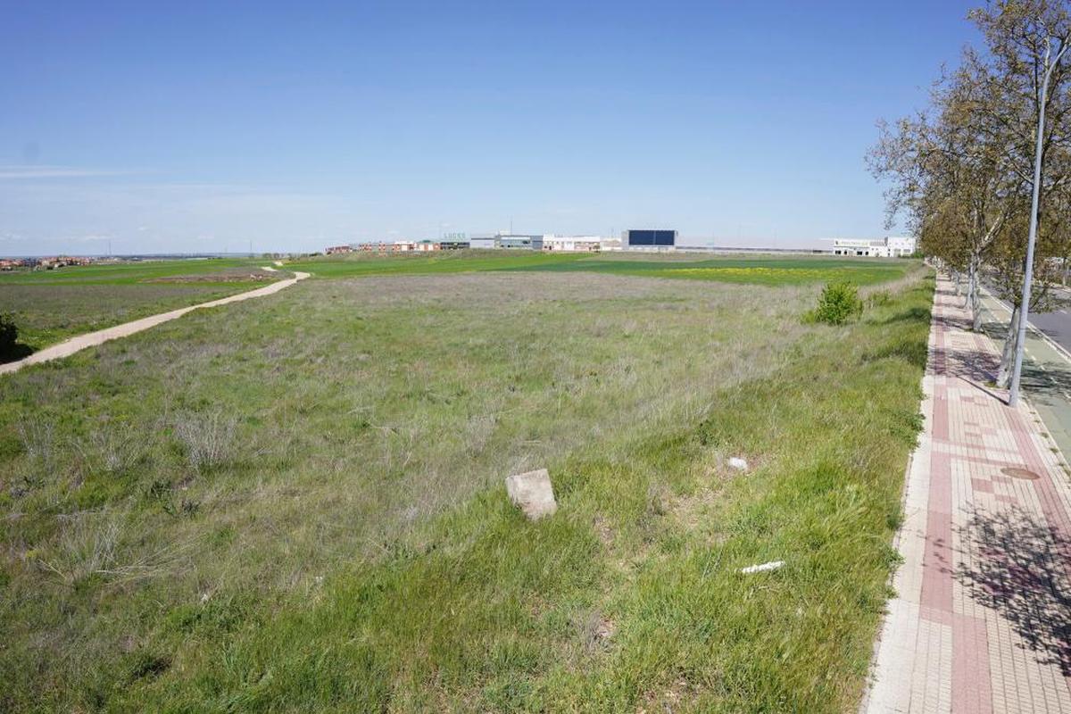 Suelo sin urbanizar del sector industrial de “Las Rubieras”, situado junto al polígono industrial de los Villares.