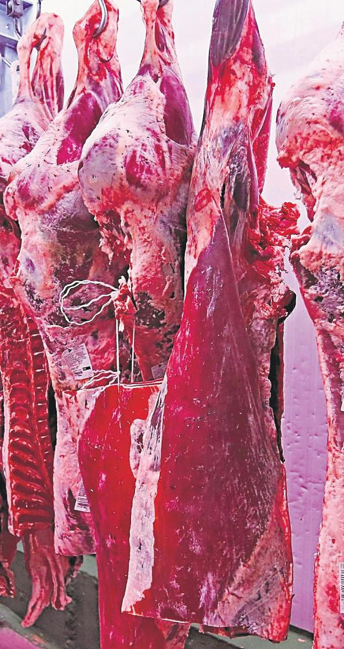 Canales de carne almacenadas en Mercasalamanca