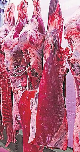 Canales de carne almacenadas en Mercasalamanca