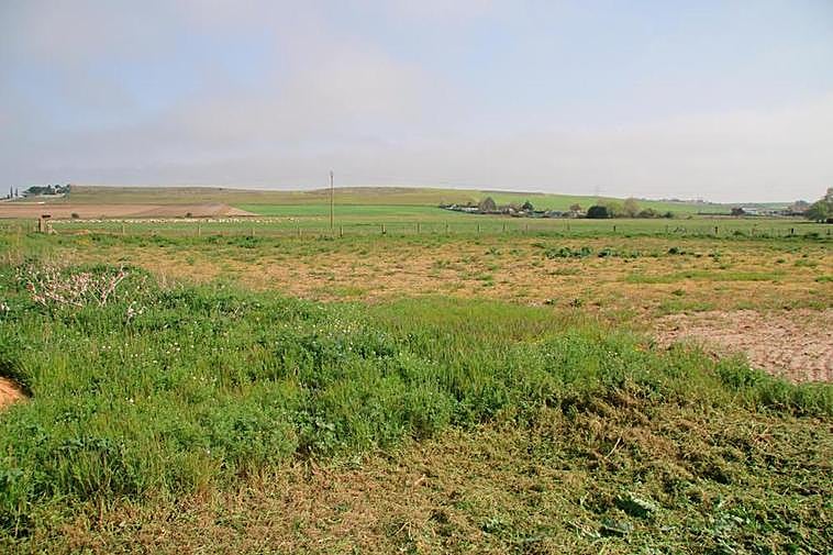 Vista de la zona del Prado Boyal de Villamayor, junto a la SA-300.