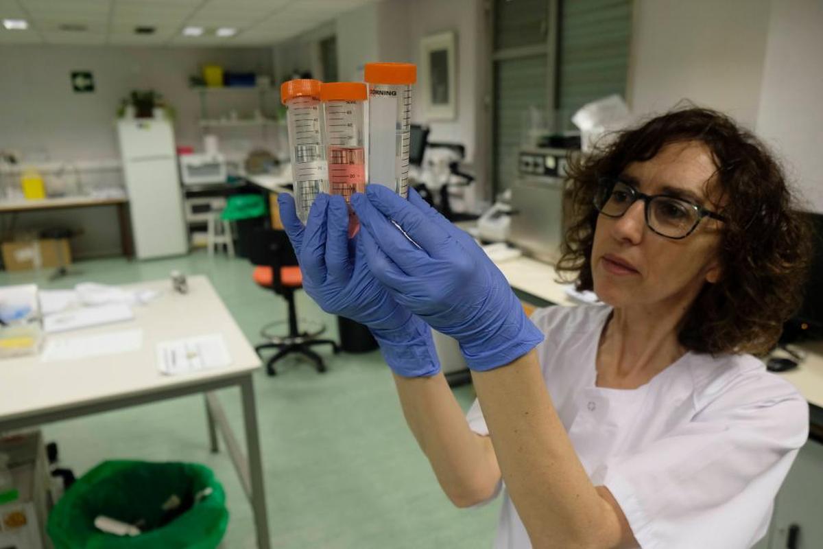 Una profesional prepara las muestras para la determinación de biomarcadores de un paciente, previa a la pandemia.