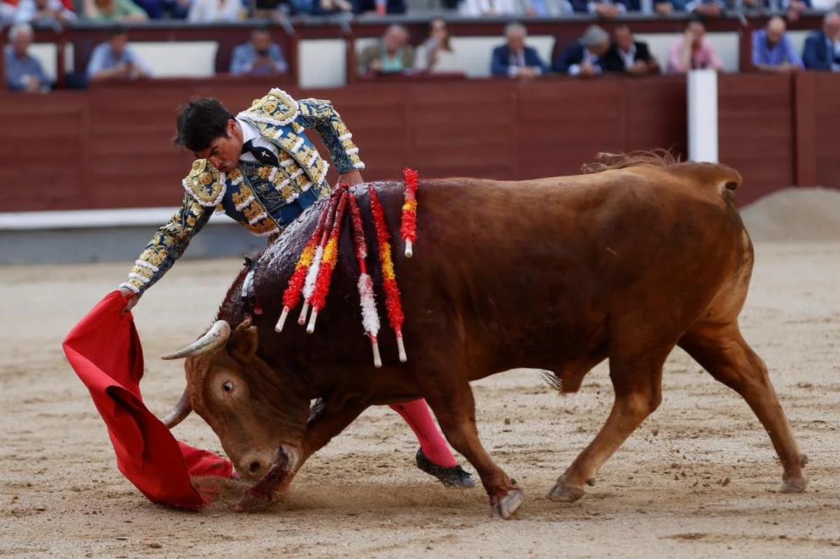 Derechazo de López Chaves a ‘Burreco’ su primer toro de Pedraza de Yeltes ayer en Las Ventas en el undécimo festejo de la feria de San Isidro.