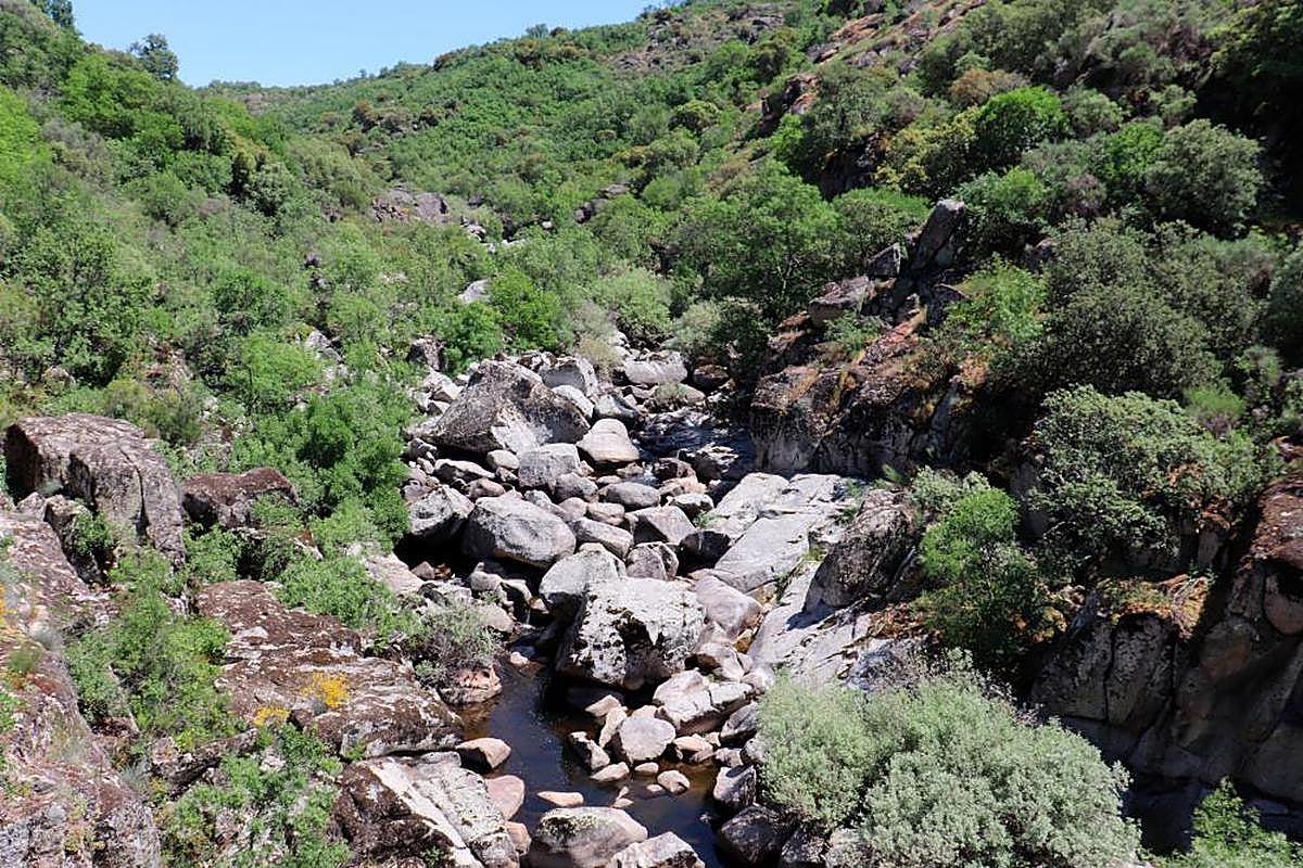 Río Alagón en su curso alto.
