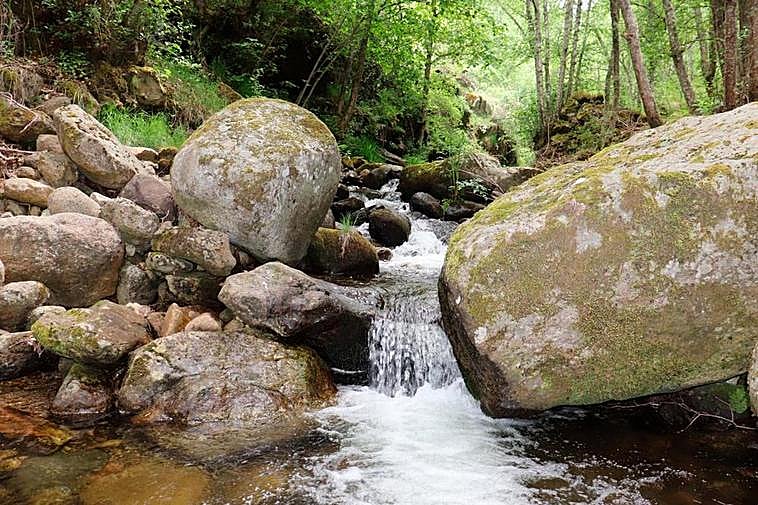 Río Barquillo, en Candelario.