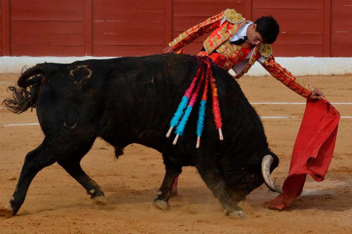 Manuel Diosleguarde en una corrida anterior