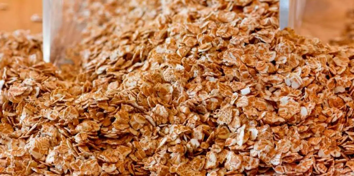 Los cereales integrales son uno de los alimentos que ayudan a bajar el ácido úrico