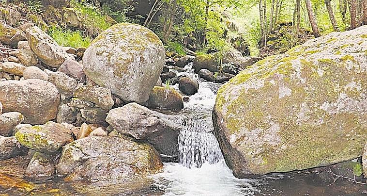 Imagen del río Barquillo, uno de los candidatos a reserva fluvial en el término de Candelario.