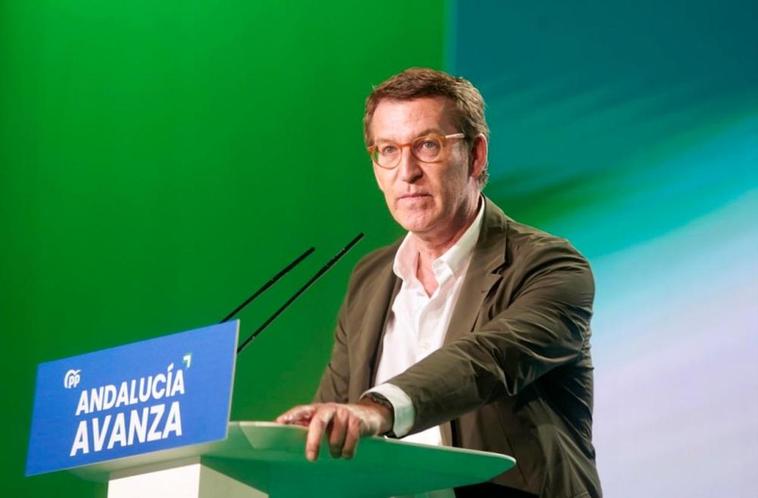 Alberto Núñez Feijóo, presidente del PP