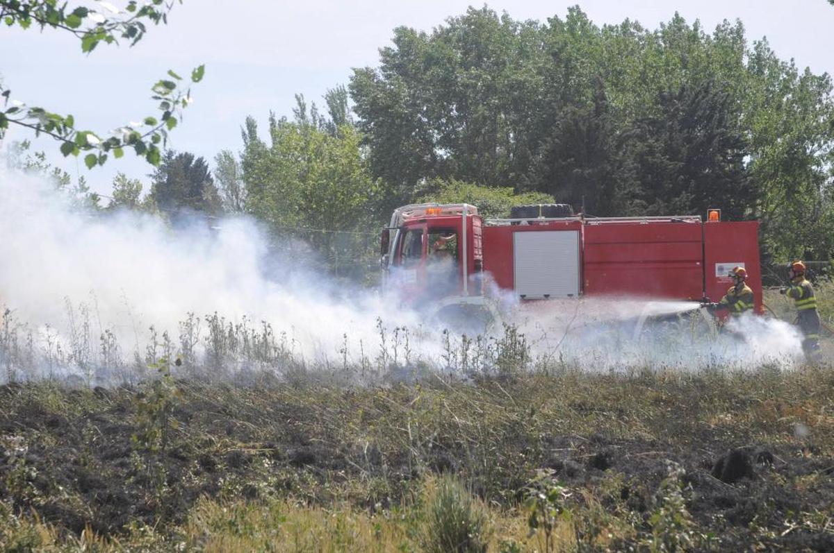 Incendio provocado por la pelusa del chopo