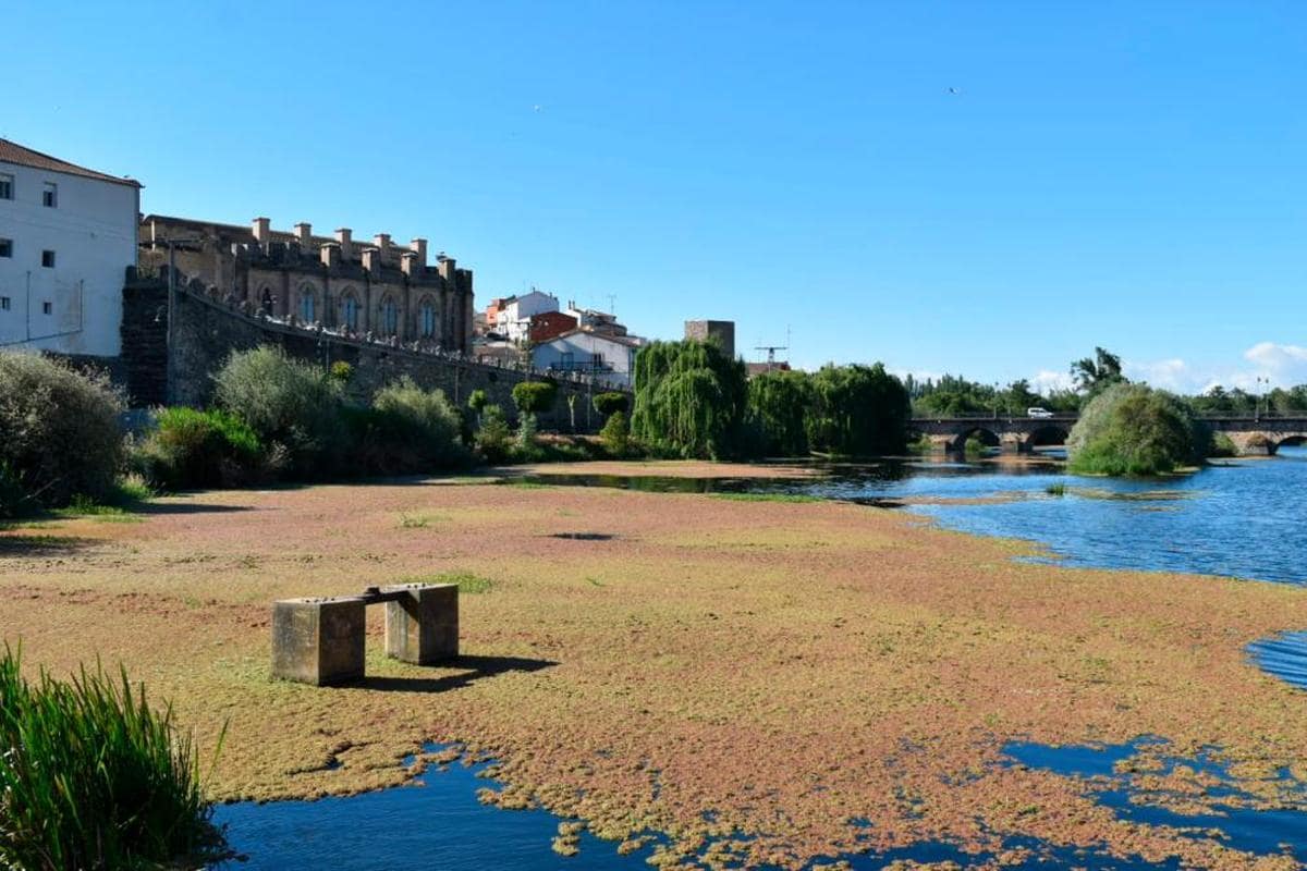Estado actual del río Tormes a su paso por la villa ducal.
