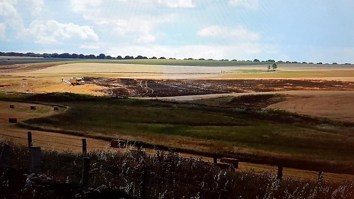 Superficie calcinada por el incendio en Aldeatejada.